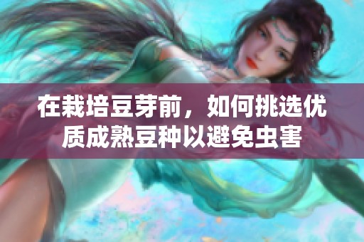在栽培豆芽前，如何挑选优质成熟豆种以避免虫害