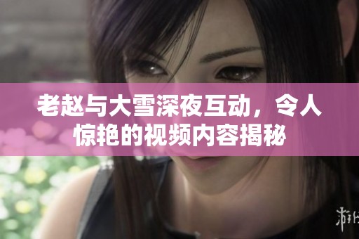 老赵与大雪深夜互动，令人惊艳的视频内容揭秘