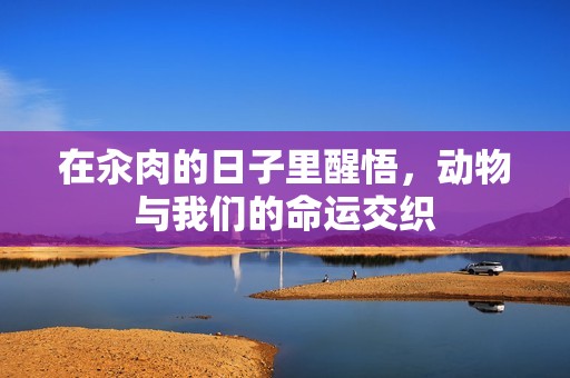 在汆肉的日子里醒悟，动物与我们的命运交织
